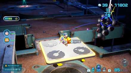 ムラサキタワワの場所の見た目