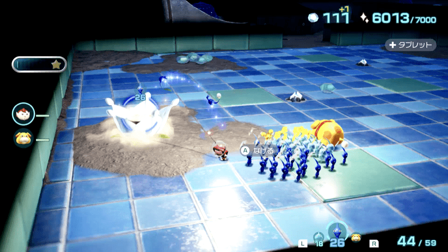 白ポンガシグサ