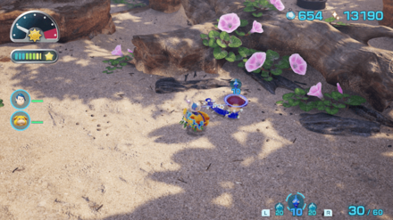 コシリソックリの場所の見た目