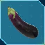 オタンコノミ画像