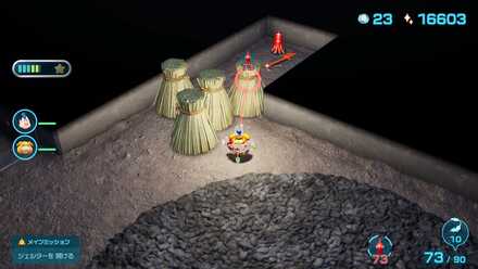 タコサンモドキの場所の見た目