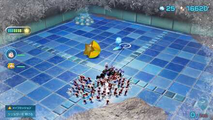 ダンメンホシニタリの入手場所