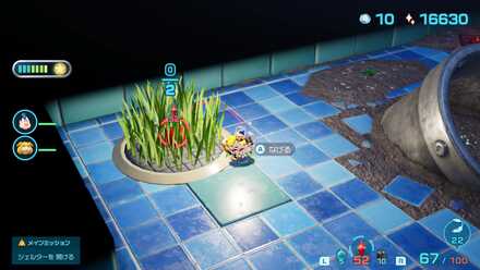 スキノウチの場所の見た目