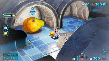 タントタネギシリの場所の見た目