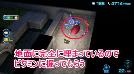 大地の娘の入手場所