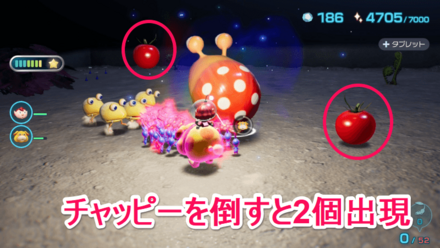 スキノウチの入手場所