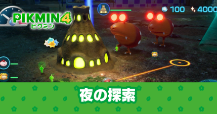 夜の探索