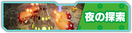 夜の探索