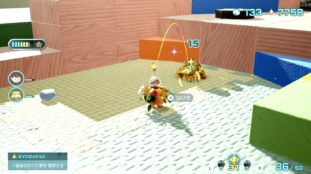 キンカイの場所の見た目