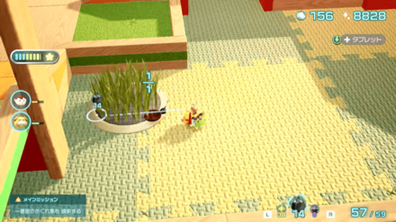 穴あきいかだの場所の見た目