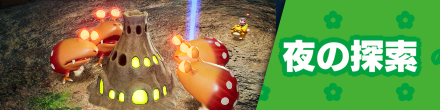夜の探索