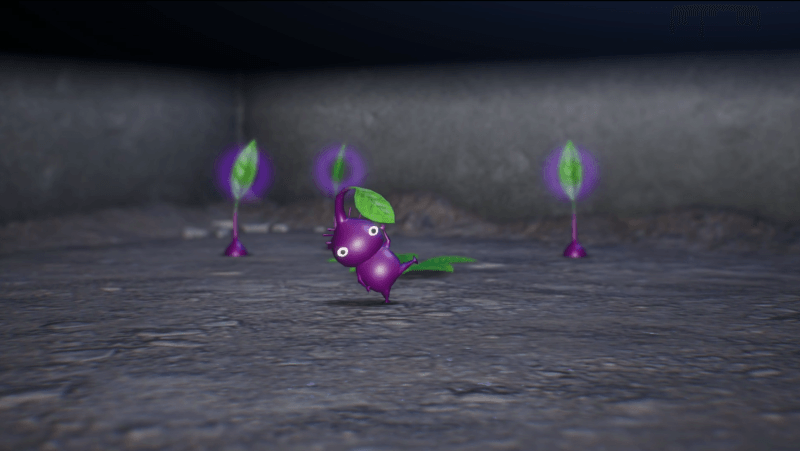 紫ピクミンはボス部屋前のポンガシ草で仲間に