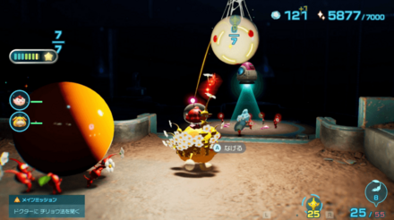 真のタマの場所の見た目