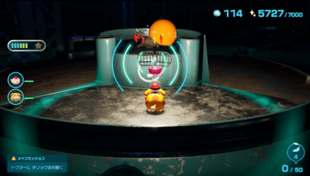 身のタマの場所の見た目