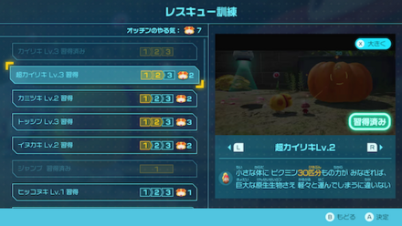 超カイリキがおすすめ