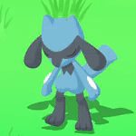 リオルの星2寝顔画像