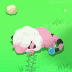 モココの星1寝顔画像