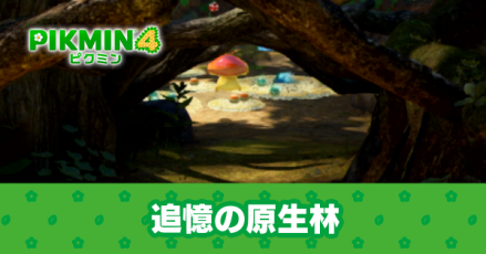追憶の原生林のマップと100%の条件・お宝