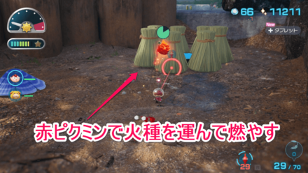 けだもののゆりかごの見た目画像