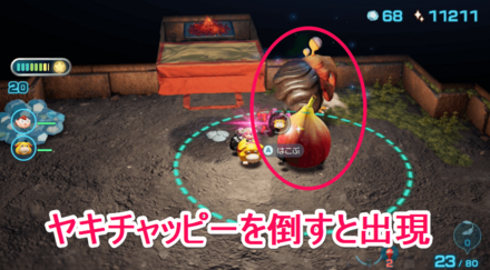 ムカムカノミの入手場所