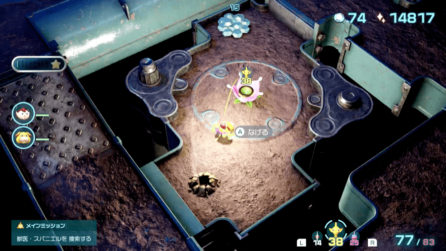 羽ポンガシグサ