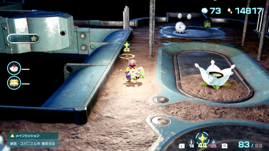 白ポンガシグサ