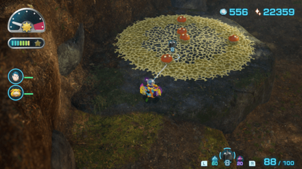 ハナシズクノミの場所の見た目