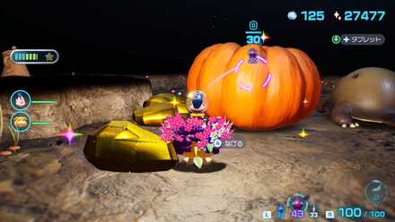 バシャノミの入手場所