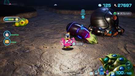 オタンコノミの入手場所