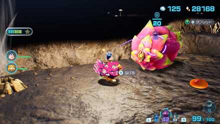 イカツタツボックリの入手場所