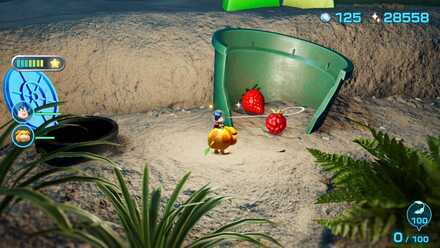 キーチゴノミの入手場所