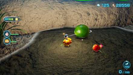 カボストニタリヨタリの入手場所