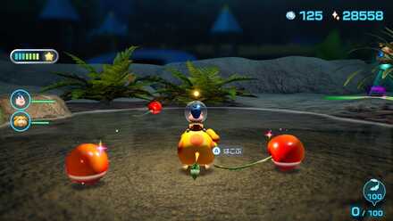 ヤブレカブレの入手場所