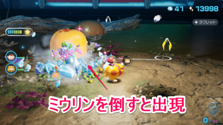 シャクシャクノミの場所の見た目