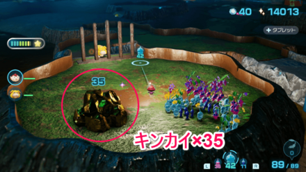 キンカイの場所の見た目