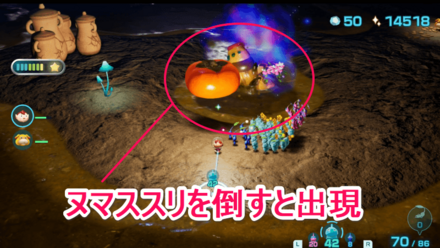 ユウヒノミの場所の見た目