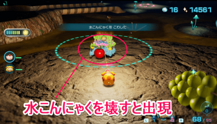 スキノウチの場所の見た目