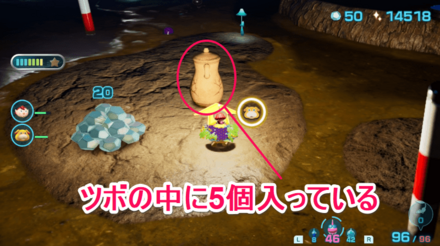 キンカイの場所の見た目