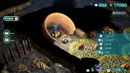 キンカイの入手場所