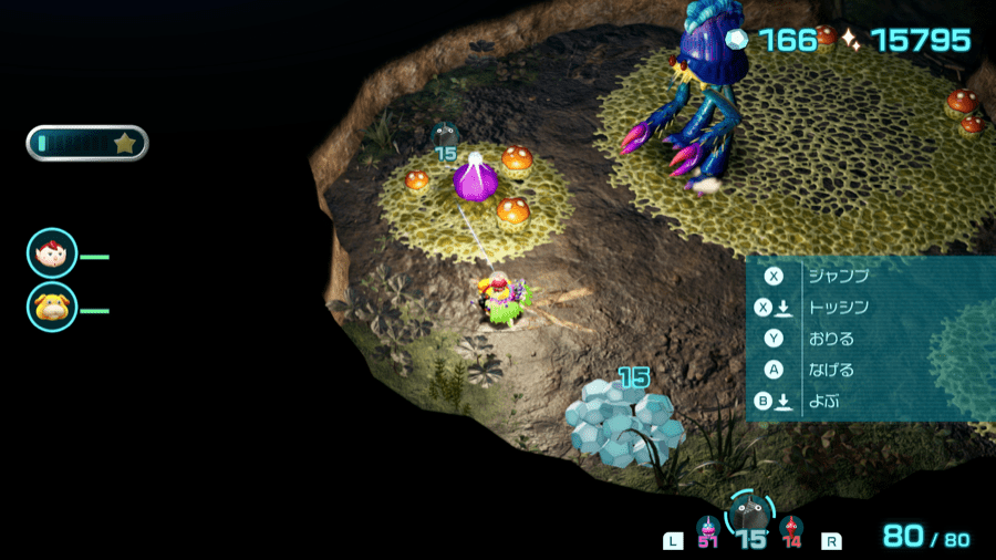 紫ポンガシグサ