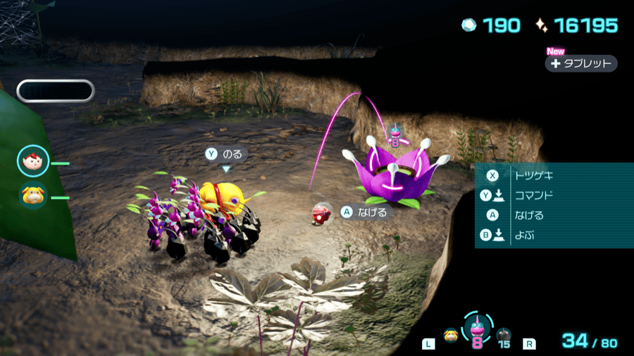 紫ホポンガシグサ