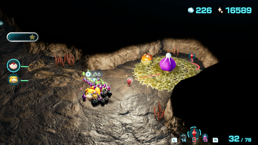 紫ほポンガシグサ