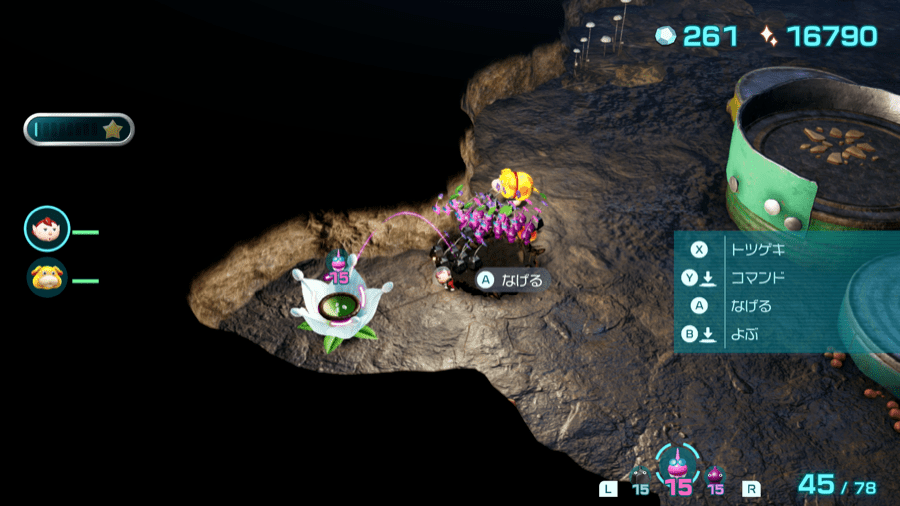 白ポンガシグサ