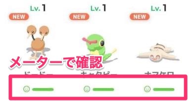 ステータス画面で確認