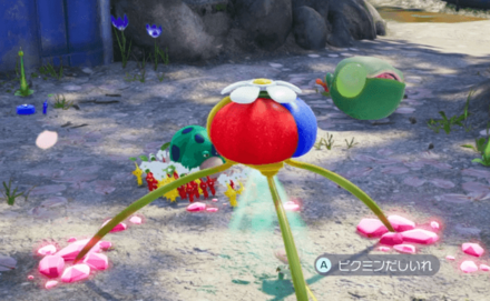 オニヨンの近くにおいた敵の死骸