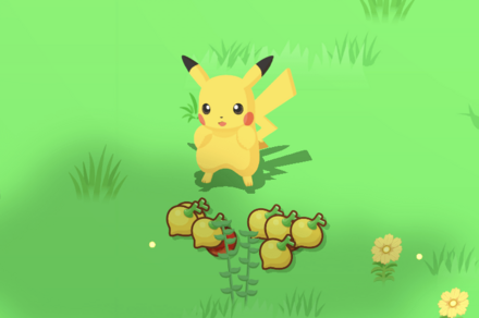 ポケモンが「おてつだい」時に拾ってくる