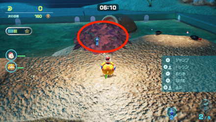 青ピクミンが隠れている