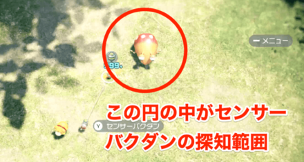 探知範囲