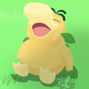 コダックの星2寝顔画像