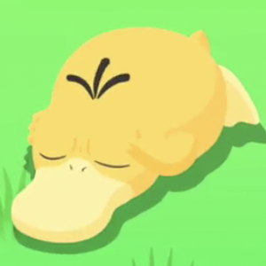 コダックの星1寝顔画像